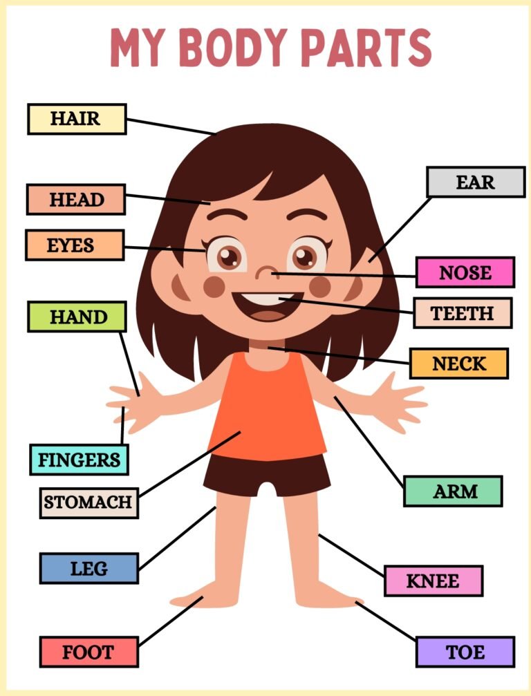 Body Parts