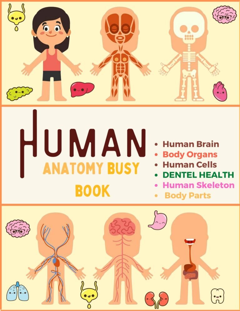 Human Organs